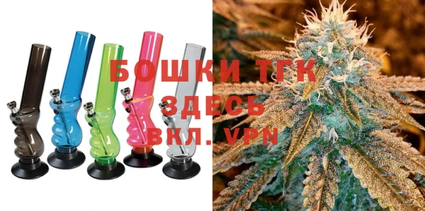 2c-b Новозыбков