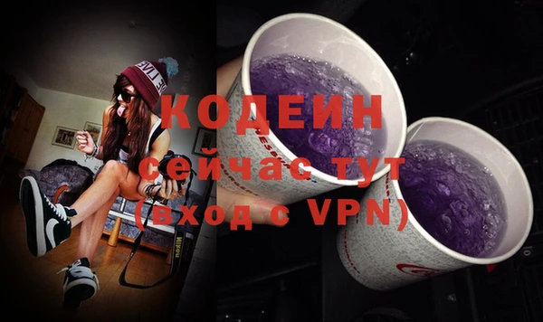 2c-b Новозыбков